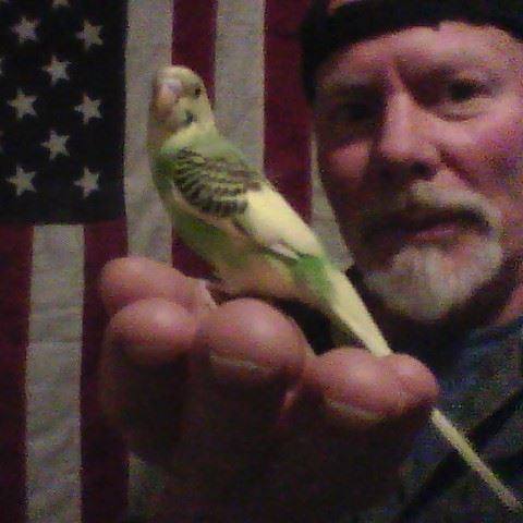 About KC Bird Whisperer - A Message From Mike Kiger