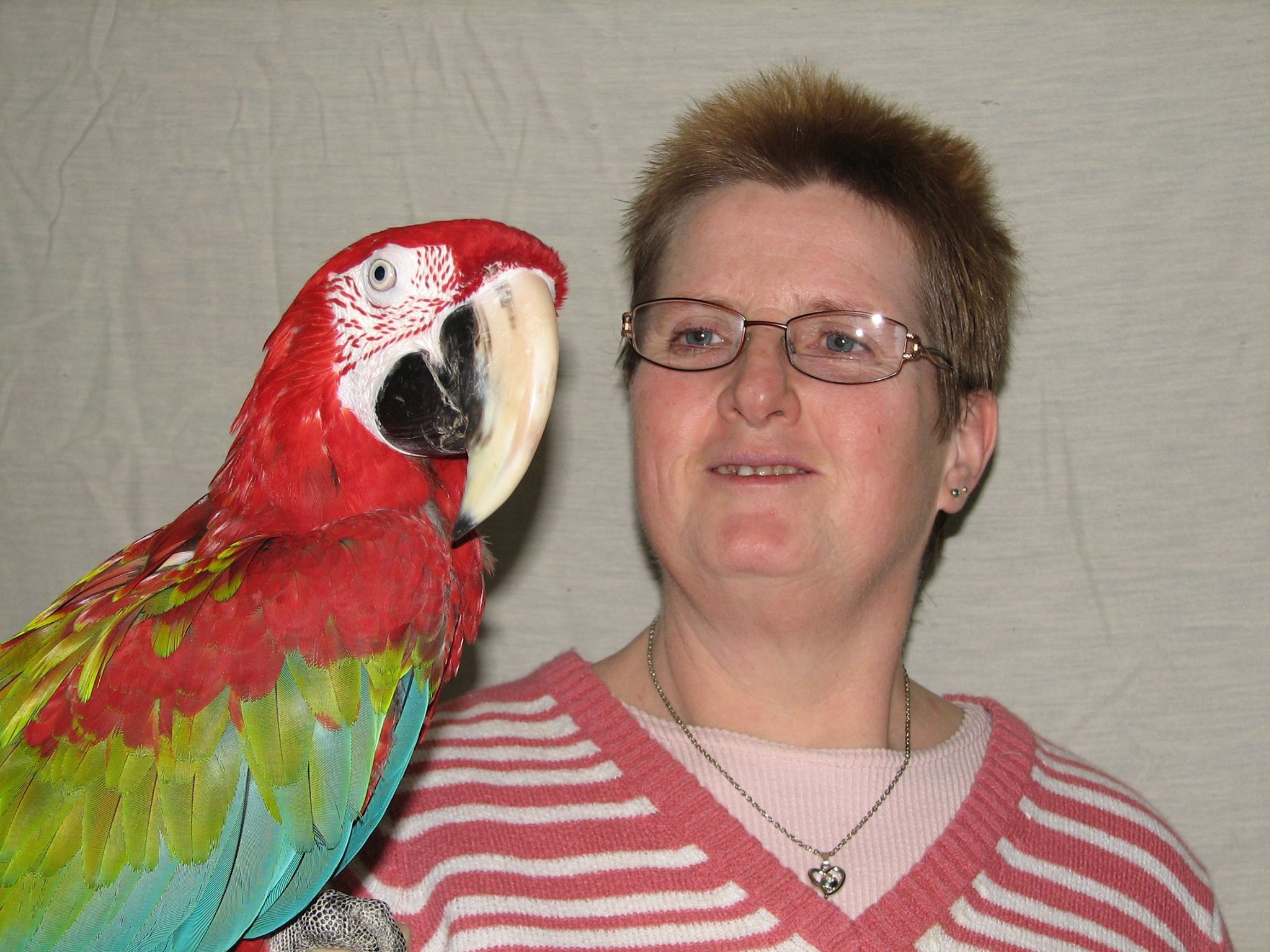 Bird Breeder Goes Bird Rescuer part two  - New Wings Bird Rescue & Sanctuary